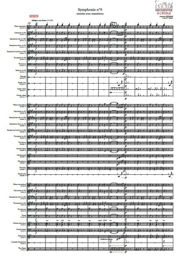 Symphonie n° 9 - Dvorak (5 extraits)